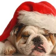 Holiday Reminders